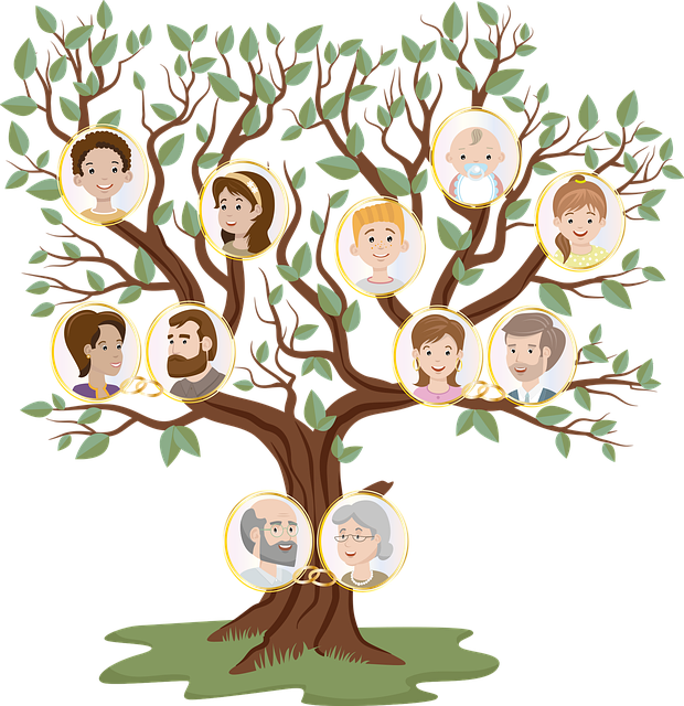 family tree 6093805 640